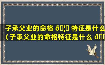 子承父业的命格 🦟 特征是什么（子承父业的命格特征是什么 🌸 意思）